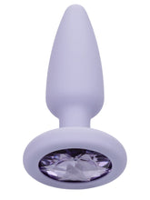 Load image into Gallery viewer, First Time Crystal Booty Kit Purple