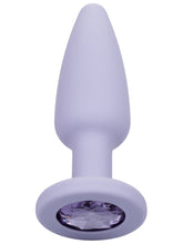 Load image into Gallery viewer, First Time Crystal Booty Kit Purple