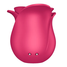 Load image into Gallery viewer, Satisfyer Pro 2 Modern Rose