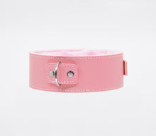 Load image into Gallery viewer, Fur Lined Collar With Lead Pink