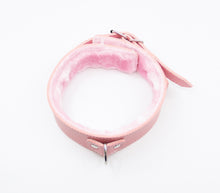 Load image into Gallery viewer, Fur Lined Collar With Lead Pink