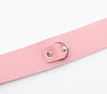 Load image into Gallery viewer, Fur Lined Collar With Lead Pink