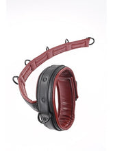 Load image into Gallery viewer, Saffron Neck And Wrist Restraints