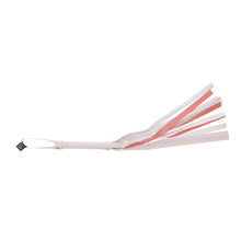 Load image into Gallery viewer, Sex & Mischief Peaches N Creame Stripe Flogger