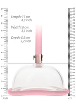 Load image into Gallery viewer, Pumped Rechargeable Pussy Pump Pink