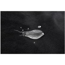 Load image into Gallery viewer, Pivot Protector Waterproof Blanket - Black Triple-layered