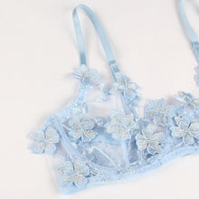 Load image into Gallery viewer, Blue Floral Applique Bra Set (12-14) Xl
