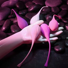 Load image into Gallery viewer, Evolved Tight &amp; Delight
