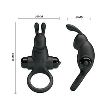 Load image into Gallery viewer, Larry Rabbit C Ring Black
