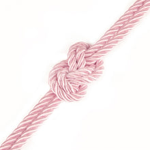 Load image into Gallery viewer, Rebellion Reign Rose 10m Silky Bondage Rope Pink
