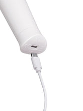 Load image into Gallery viewer, Le Wand Classique Petite Wand Massager
