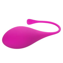 Load image into Gallery viewer, Kegel Training 5-piece Set
