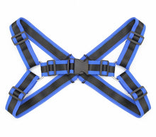 Load image into Gallery viewer, Blue Nylon Webbing Brace
