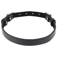 Load image into Gallery viewer, Sex &amp; Mischief Double Buckle Day Collar
