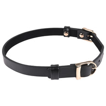 Load image into Gallery viewer, Sex &amp; Mischief Double Buckle Day Collar
