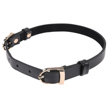 Load image into Gallery viewer, Sex &amp; Mischief Double Buckle Day Collar
