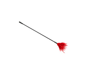 Crop W/ Feather Tickler Red