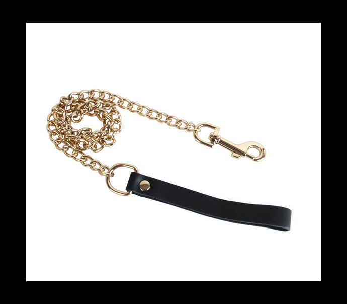 Chain Lead With Leather Handle - Gold