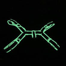 Load image into Gallery viewer, Black &amp; Glow In The Dark Bulldog Brace
