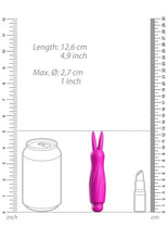 Load image into Gallery viewer, Sofia - Abs Bullet With Silicone Sleeve - 10-speeds - Fuchsia
