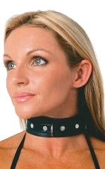 Colllar Soft Leather With Centre Dee